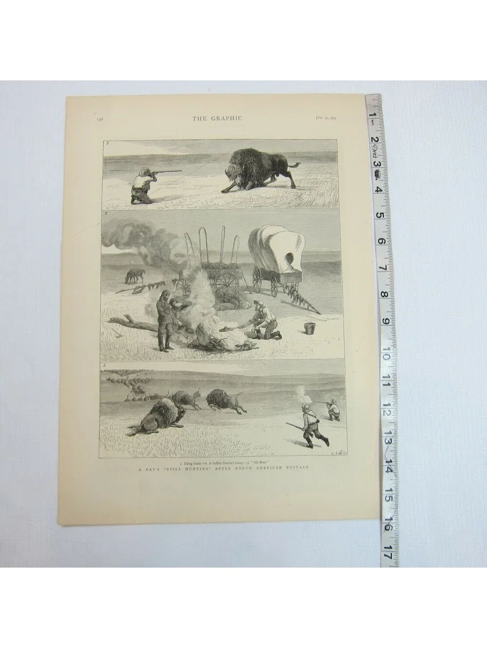 Antique 1877 Print A Days Still Hunting After North American Buffalo The Graphic